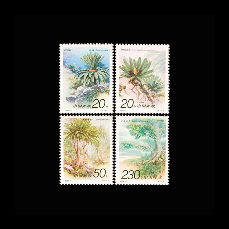 Vintage 1996 Chinese Cycas Pla - Vintage Collectible Stamps recension och pris
